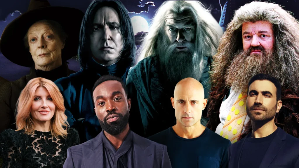 Harry Potter TV Series